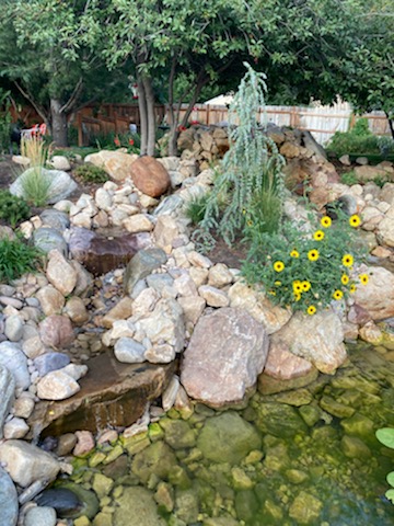 Rock and boulder landscape with ornamental grasses and flowering plants around a water feature